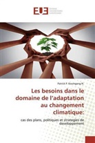 Patrick P. Koumgang N. - Les besoins dans le domaine de l'adaptation au changement climatique: