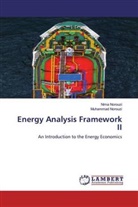 Muhammad Norouzi, Nima Norouzi - Energy Analysis Framework II
