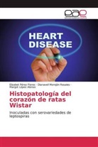 Margot López Alonso, Dianavell Morejón Rosales, Elizabet Pérez Flores - Histopatología del corazón de ratas Wistar