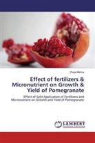 Pooja Mishra - Effect of fertilizers & Micronutrient on Growth & Yield of Pomegranate