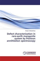 Sanjay Chattopadhyay - Defect characterization in rare-earth manganite system by Positron annihilation spectroscopy