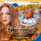 Gina Mayer, Diana Müller - Pferdeflüsterer-Academy - Flammendes Herz, 2 Audio-CD (Livre audio)
