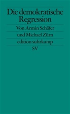 Armi Schäfer, Armin Schäfer, Michael Zürn - Die demokratische Regression