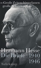 Hermann Hesse, Volke Michels, Volker Michels - »'Große Zeiten' hinterlassen große Schutthaufen«