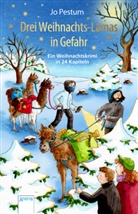 Carmen Hochmann, Jo Pestum, Carmen Hochmann - Drei Weihnachts-Lamas in Gefahr