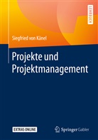 Siegfried von Känel, Siegfried von Känel - Projekte und Projektmanagement