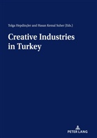 Tolga Hepdincler, Hasan Kemal Süher - Creative Industries in Turkey