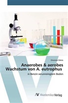 Omotere Odola - Anaerobes & aerobes Wachstum von A. eutrophus