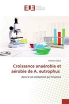 Omotere Odola - Croissance anaérobie et aérobie de A. eutrophus