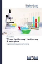 Omotere Odola - Wzrost beztlenowy i beztlenowy A. eutrophus