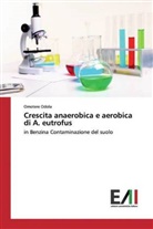 Omotere Odola - Crescita anaerobica e aerobica di A. eutrofus