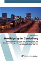 Mihiret Ashagrie - Bewältigung der Zersiedlung