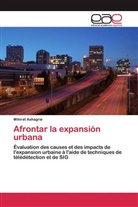Mihiret Ashagrie - Afrontar la expansión urbana