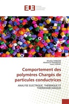 Khadij HABOUBI, Khadija HABOUBI, Issam Hanafi, Abdelkri MAAROUFI, Abdelkrim MAAROUFI - Comportement des polymères Chargés de particules conductrices