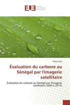 Fallou Seck - Évaluation du carbone au Sénégal par l'imagerie satellitaire
