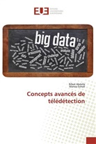 Rifaa Abdalla, Rifaat Abdalla, Marwa Esmail - Concepts avancés de télédétection