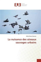 Melle Ekane Maurice - La nuisance des oiseaux sauvages urbains