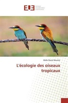 Melle Ekane Maurice - L'écologie des oiseaux tropicaux