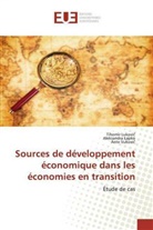 Aleksandra ¿Apko, Aleksandr Lapko, Aleksandra Lapko, Tihomir Lukovi¿, Tihomi Lukovic, Tihomir Lukovic... - Sources de développement économique dans les économies en transition