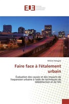 Mihiret Ashagrie - Faire face à l'étalement urbain