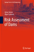 Alper Aydemir, Aytaç Güven - Risk Assessment of Dams
