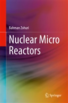 Bahman Zohuri - Nuclear Micro Reactors