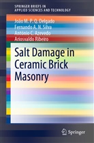A Azevedo, António C. Azevedo, João M P Delgado, João M P Q Delgado, João M. P. Q. Delgado, João M.P.Q. Delgado... - Salt Damage in Ceramic Brick Masonry