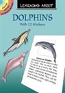Sy Barlowe - Learning About Dolphins