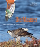 Mar Duquet, Marc Duquet, Sébastien Reeber - Die Mauser