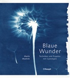 Marlis Maehrle - Blaue Wunder - Techniken und Projekte mit Cyanotypie