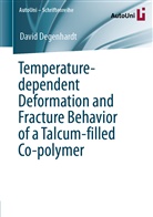 David Degenhardt - Temperature-dependent Deformation and Fracture Behavior of a Talcum-filled Co-polymer