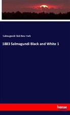 Salmagundi Club New York - 1883 Salmagundi Black and White 1