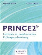 Ingol Speer, Ingolf Speer, Steffi Triest - PRINCE2