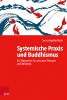 Corina Aguilar-Raab, Stefan Schmidt - Systemische Praxis und Buddhismus