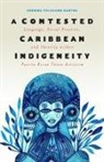 Sherina Feliciano-Santos - Contested Caribbean Indigeneity