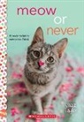 Jazz Taylor - Meow or Never: A Wish Novel