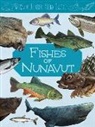 Jordan Hoffman - Junior Field Guide: Fishes of Nunavut