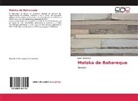José Hernández - Maloka de Bahareque