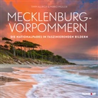 Tim Allrich, Timm Allrich, Mario Müller - Mecklenburg-Vorpommern