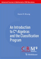 Francesc Perera, Strung, Karen R Strung, Karen R. Strung, Frances Perera, Francesc Perera - An Introduction to C*-Algebras and the Classification Program