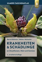 Bernd Böhmer, Walter Wohanka - Krankheiten & Schädlinge an Zierpflanzen, Obst und Gemüse
