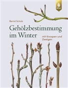 Bernd Schulz - Gehölzbestimmung im Winter