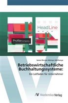 James Renew Adeleye Adefiranye - Betriebswirtschaftliche Buchhaltungssysteme: