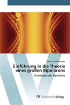 Vladimir Mukhomorov - Einführung in die Theorie eines großen Bipolarons