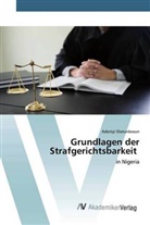 Adeniyi Olatunbosun - Grundlagen der Strafgerichtsbarkeit
