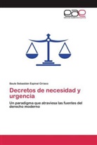 Saulo Sebastián Espinal Ciriaco - Decretos de necesidad y urgencia