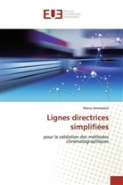 Marco Iammarino - Lignes directrices simplifiées