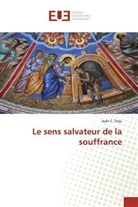 Te&amp;, Ioan C. Te¿u, Ioan C Tesu, Ioan C. Tesu - Le sens salvateur de la souffrance
