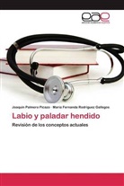 Joaquí Palmero Picazo, Joaquín Palmero Picazo, María Rodríguez Gallegos, María Fernanda Rodríguez Gallegos - Labio y paladar hendido