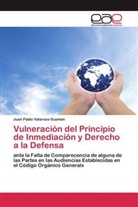 Juan Pablo Valarezo Guzmán - Vulneración del Principio de Inmediación y Derecho a la Defensa
